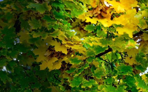466995 (a): :1920x1200
